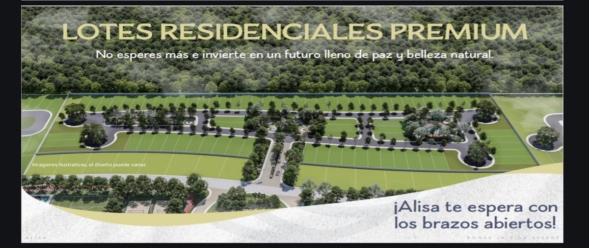 Foto de terreno habitacional en venta en san crisanto whi313277, san crisanto, sinanché, yucatán, 0 No. 03