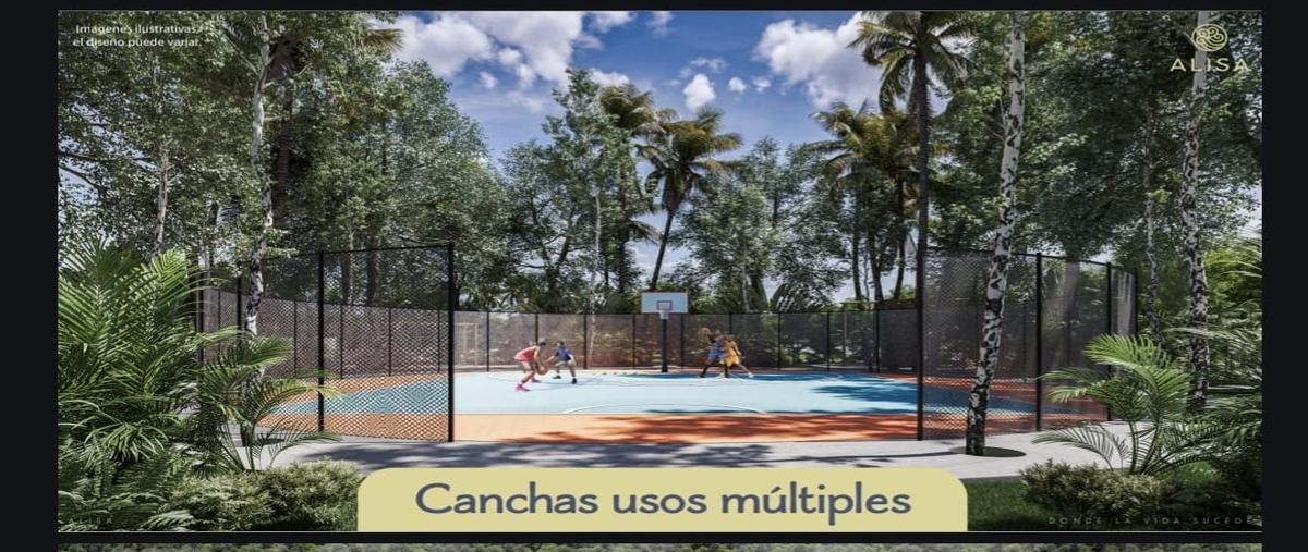 Foto de terreno habitacional en venta en san crisanto whi313277, san crisanto, sinanché, yucatán, 0 No. 04