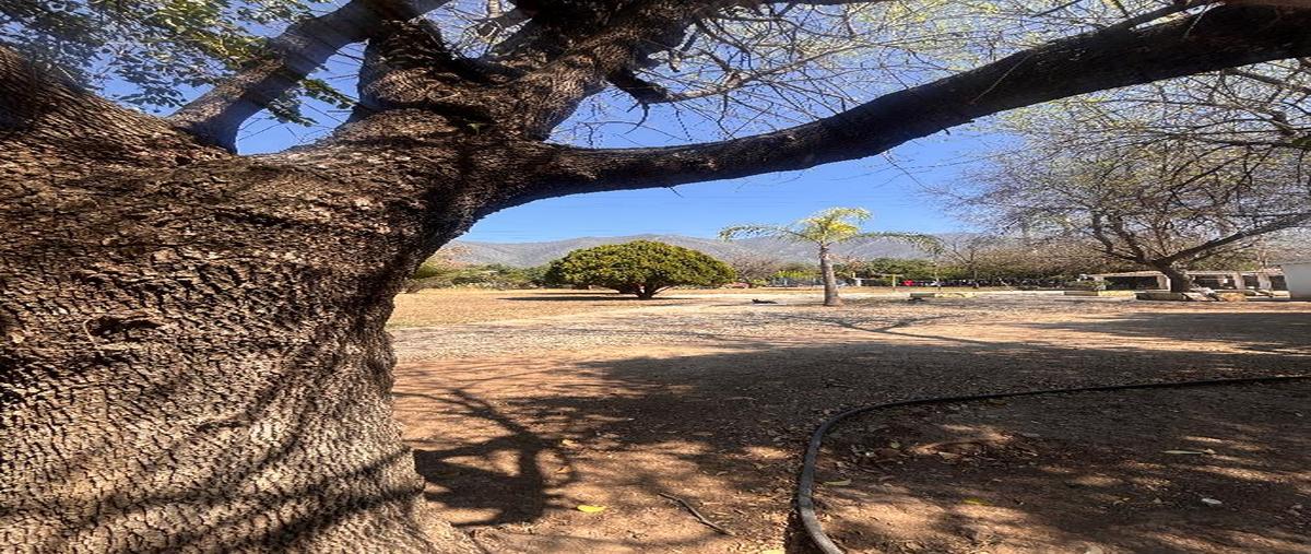 Foto de terreno habitacional en venta en san cristobal 100, los cristales, monterrey, nuevo león, 0 No. 03