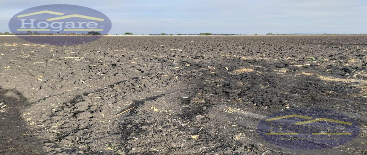 Foto de terreno habitacional en venta en  , san cristóbal (el cerrito), san francisco del rincón, guanajuato, 26581418 No. 03