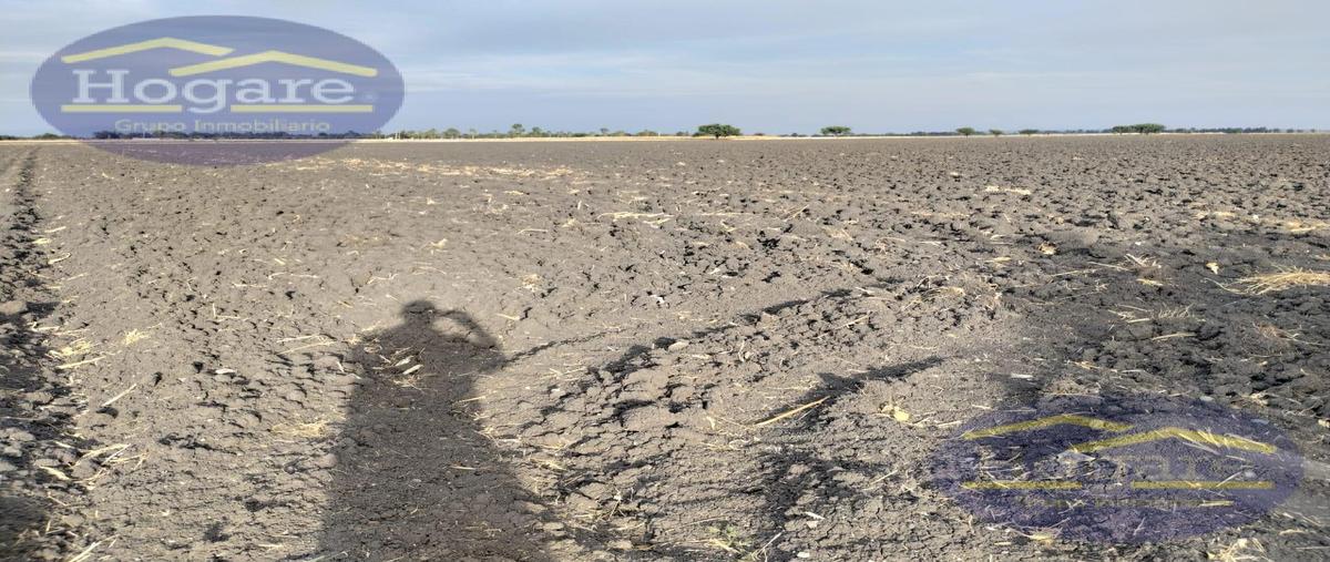 Foto de terreno habitacional en venta en  , san cristóbal (el cerrito), san francisco del rincón, guanajuato, 26581418 No. 04