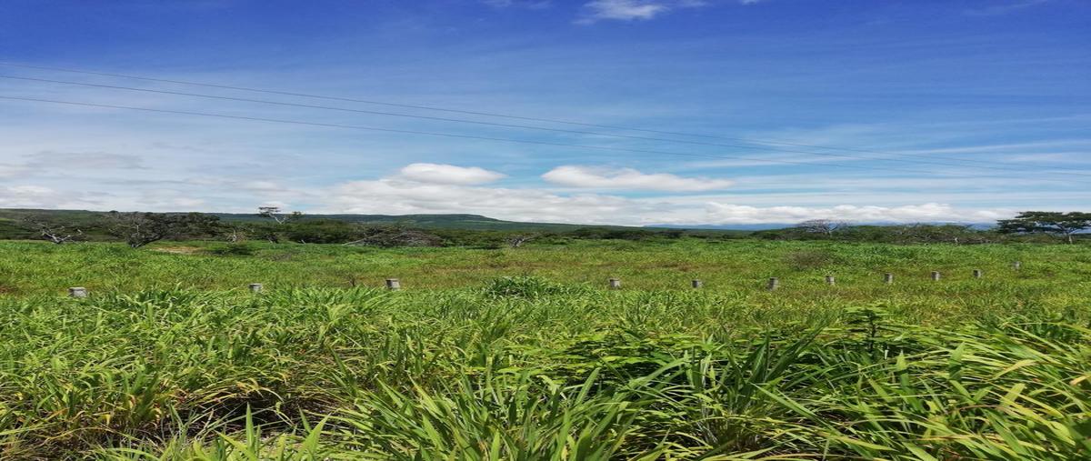 Foto de terreno comercial en venta en san cristobal el yati , galecio narcia, chiapa de corzo, chiapas, 0 No. 03