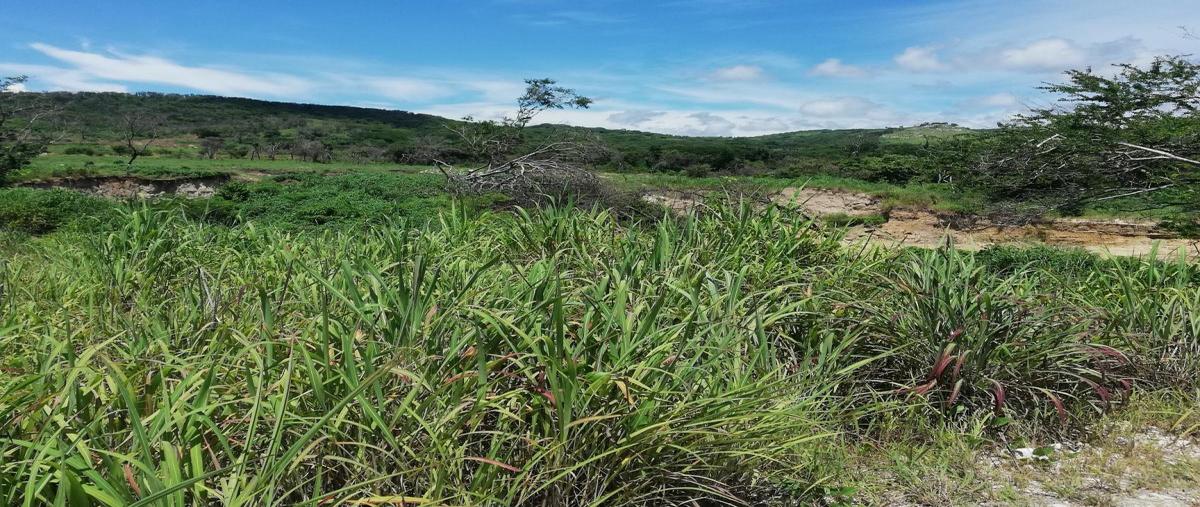 Foto de terreno comercial en venta en san cristobal el yati , galecio narcia, chiapa de corzo, chiapas, 0 No. 04