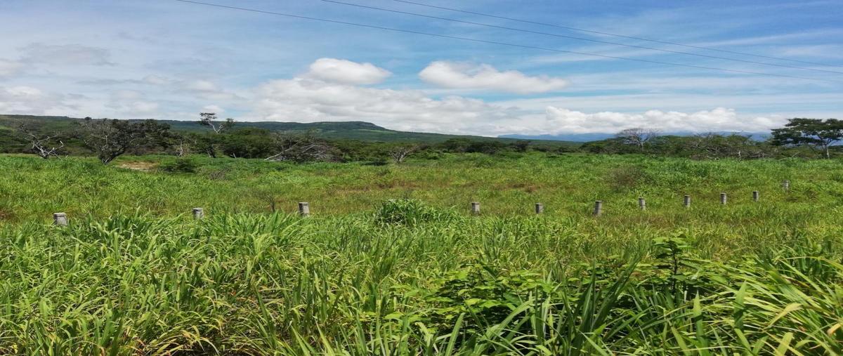 Foto de terreno comercial en venta en san cristobal el yati , galecio narcia, chiapa de corzo, chiapas, 0 No. 05