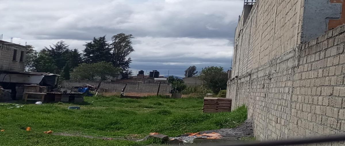 Foto de terreno habitacional en venta en  , san cristóbal huichochitlán, toluca, méxico, 0 No. 04