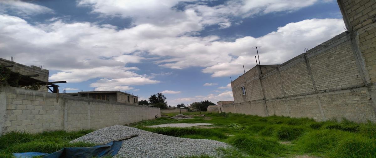 Foto de terreno habitacional en venta en  , san cristóbal huichochitlán, toluca, méxico, 29346807 No. 04