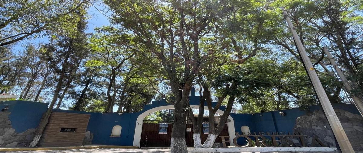 Foto de casa en venta en  , san cristóbal tepontla, san pedro cholula, puebla, 0 No. 03