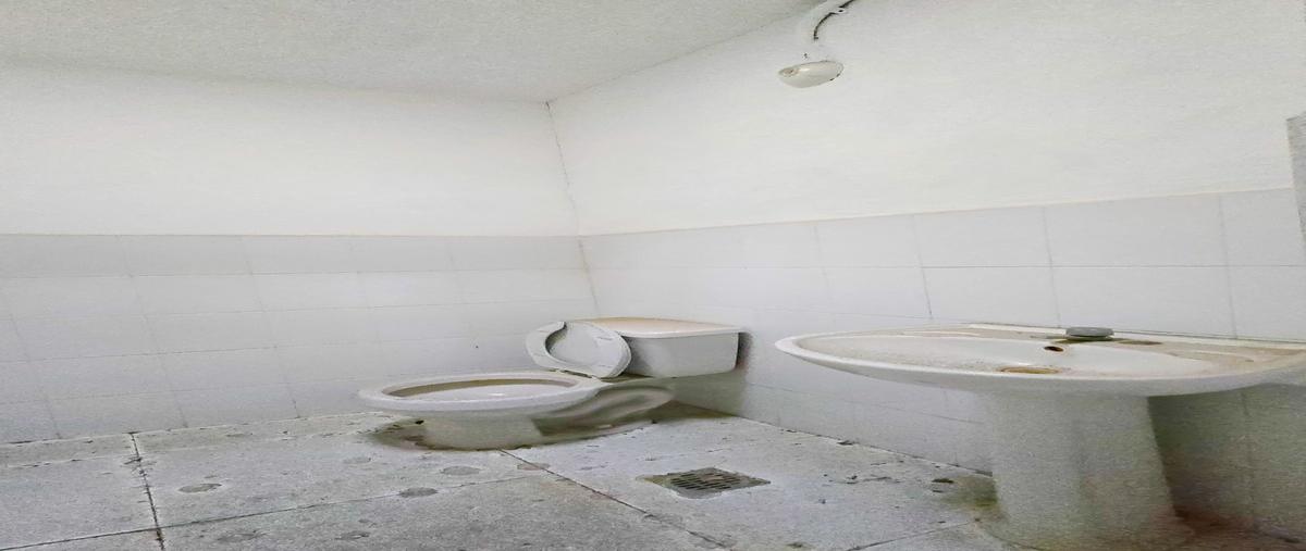 Foto de bodega en renta en  , san damián, mérida, yucatán, 29890919 No. 05