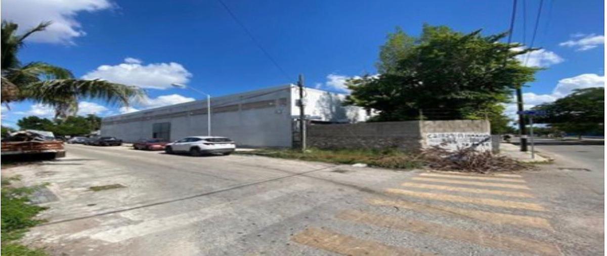 Foto de bodega en renta en  , san damián, mérida, yucatán, 30866284 No. 04