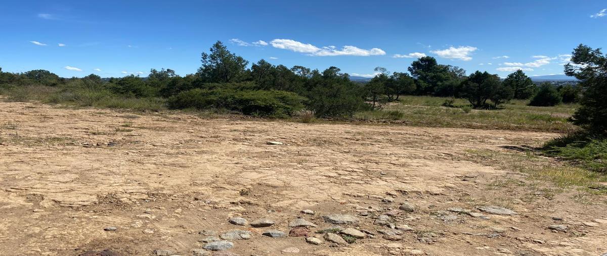 Foto de terreno habitacional en venta en  , san damián tlacocalpan, amaxac de guerrero, tlaxcala, 30302861 No. 04