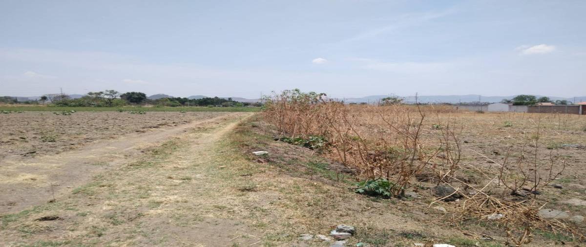 Foto de terreno habitacional en venta en  , san diego acapulco, atlixco, puebla, 21868812 No. 03