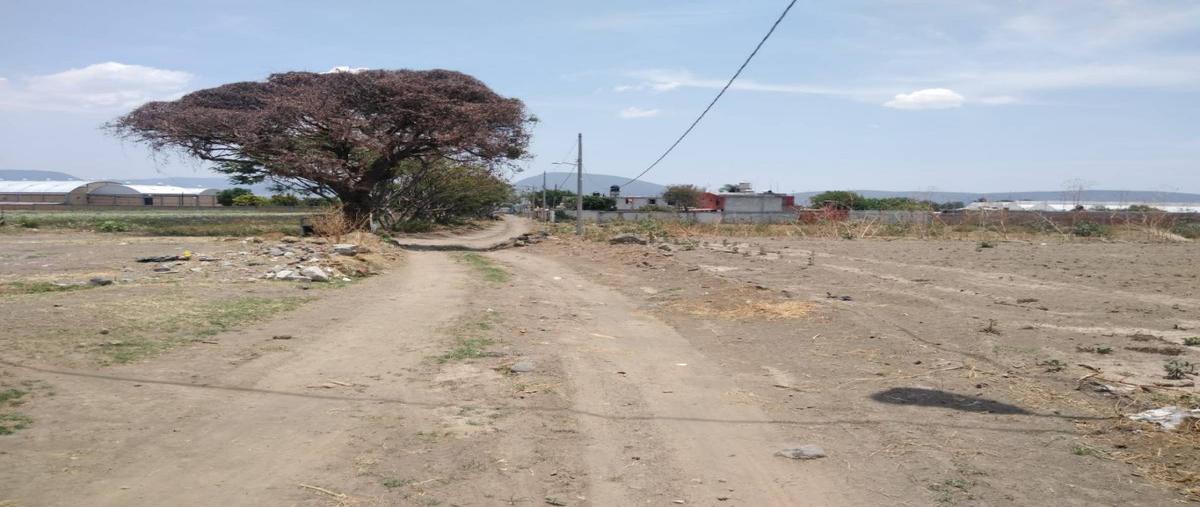 Foto de terreno habitacional en venta en  , san diego acapulco, atlixco, puebla, 21868812 No. 04