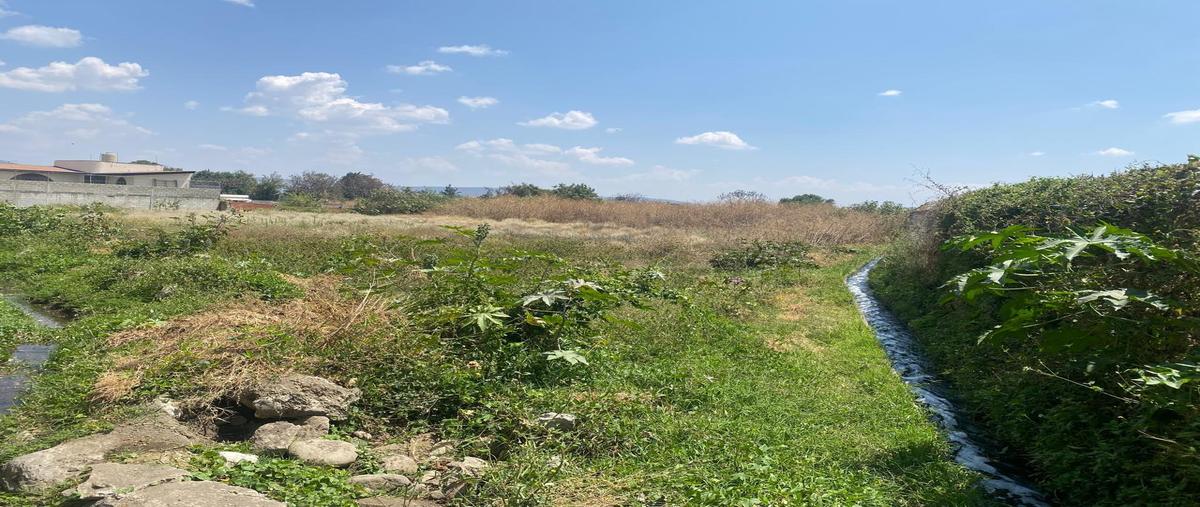 Foto de terreno habitacional en venta en  , san diego acapulco, atlixco, puebla, 30301970 No. 03