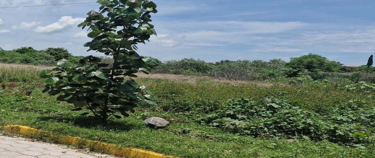 Foto de terreno habitacional en venta en  , san diego acapulco, atlixco, puebla, 30301970 No. 05