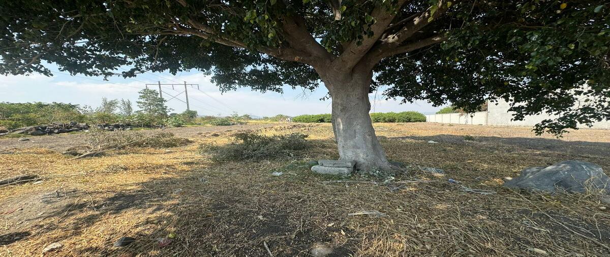 Foto de terreno comercial en , san diego acapulco, atlixco, puebla, 0 foto 01 Foto de terreno comercial en venta en , san diego acapulco, atlixco, puebla, 0 No. 01