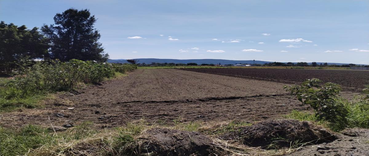 Foto de terreno habitacional en venta en  , san diego acapulco, atlixco, puebla, 0 No. 04