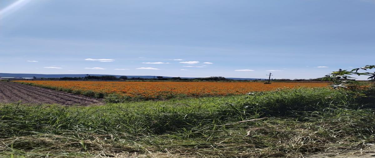 Foto de terreno habitacional en venta en  , san diego acapulco, atlixco, puebla, 0 No. 05