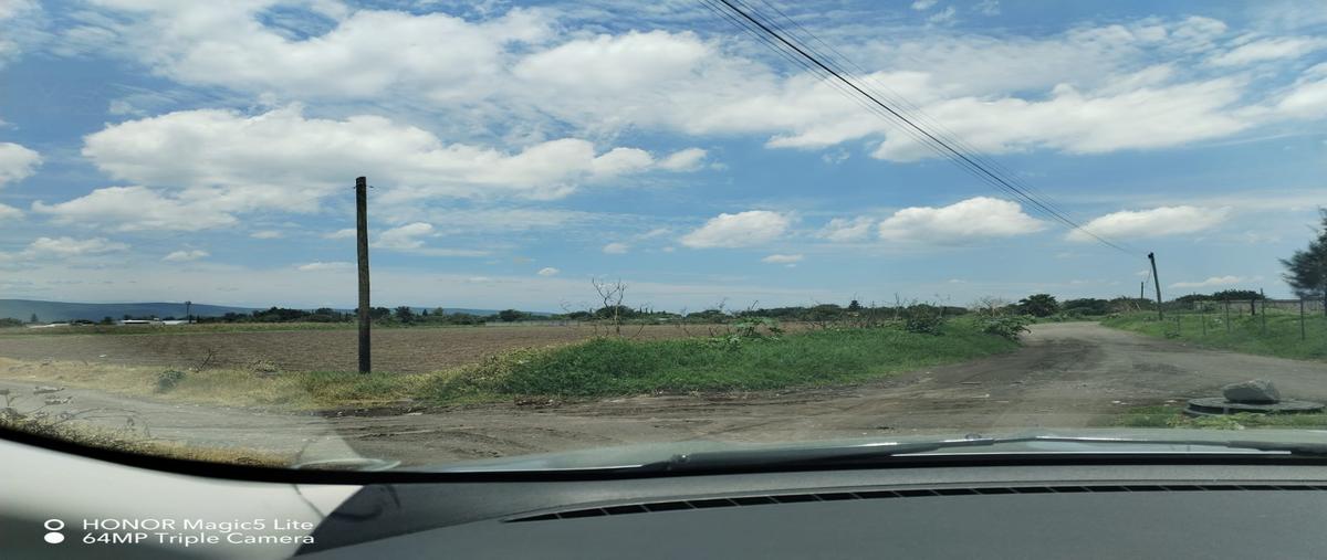 Foto de terreno habitacional en venta en  , san diego acapulco, atlixco, puebla, 0 No. 05