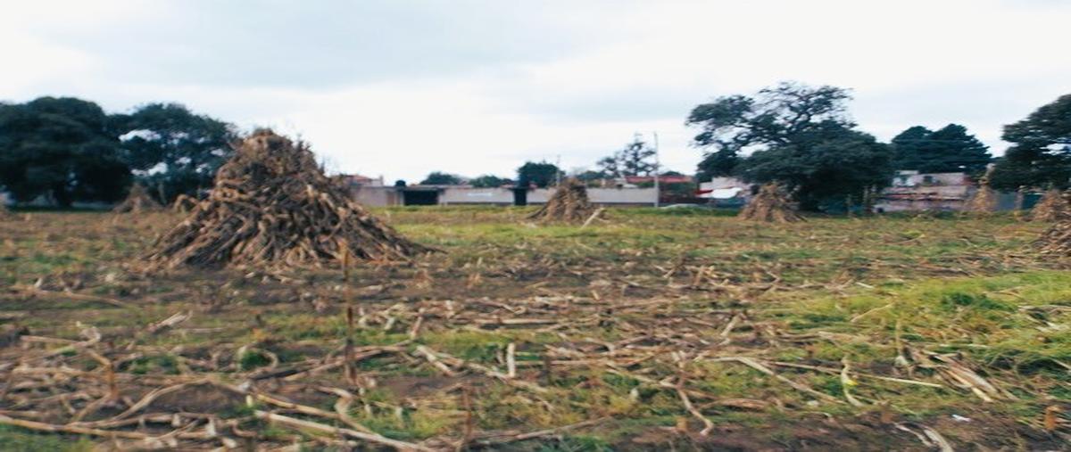 Foto de terreno habitacional en venta en  , san diego chalcatepehuacán, ayapango, méxico, 26448001 No. 04