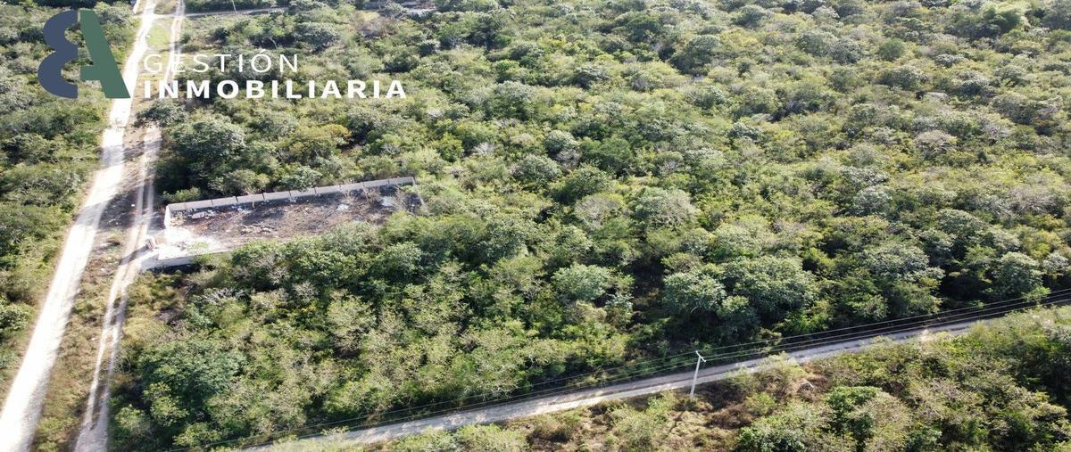 Foto de terreno habitacional en venta en  , san diego cutz, conkal, yucatán, 23071959 No. 03