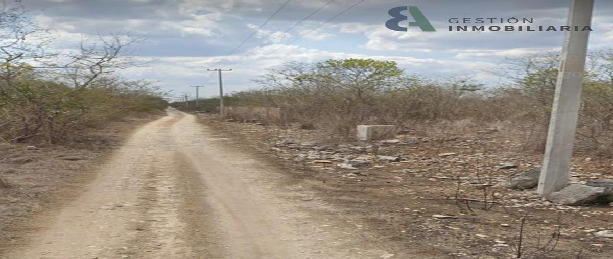 Foto de terreno habitacional en venta en  , san diego cutz, conkal, yucatán, 23071959 No. 04