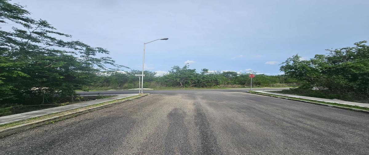 Foto de terreno habitacional en venta en  , san diego cutz, conkal, yucatán, 28555078 No. 03