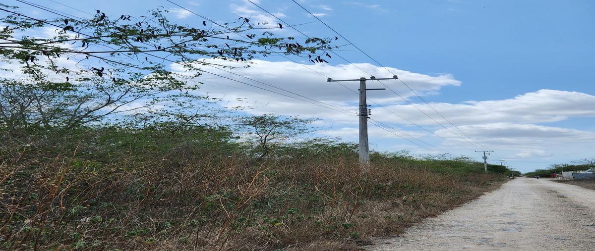 Foto de terreno habitacional en venta en . , san diego cutz, conkal, yucatán, 0 No. 04
