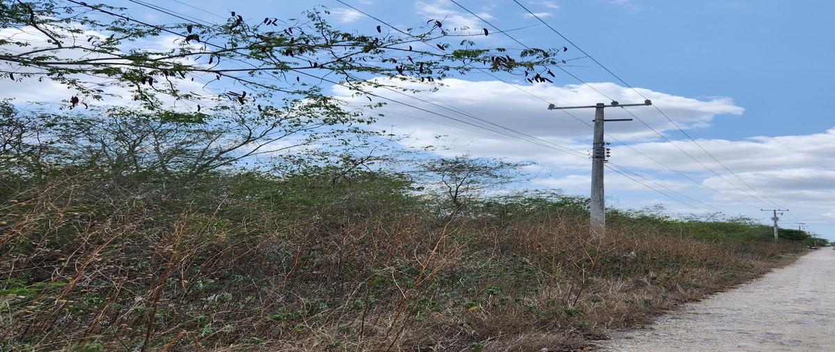 Foto de terreno habitacional en venta en . , san diego cutz, conkal, yucatán, 0 No. 05