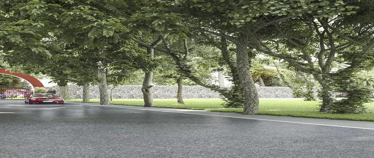 Foto de terreno habitacional en venta en  , san diego cutz, conkal, yucatán, 29822783 No. 04