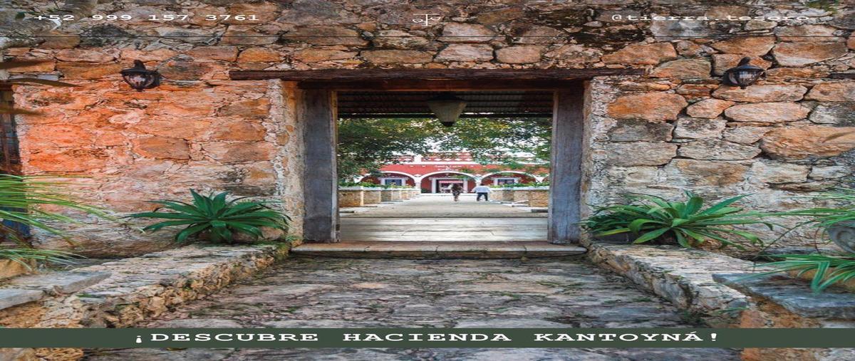 Foto de terreno habitacional en venta en  , san diego cutz, conkal, yucatán, 29822783 No. 05