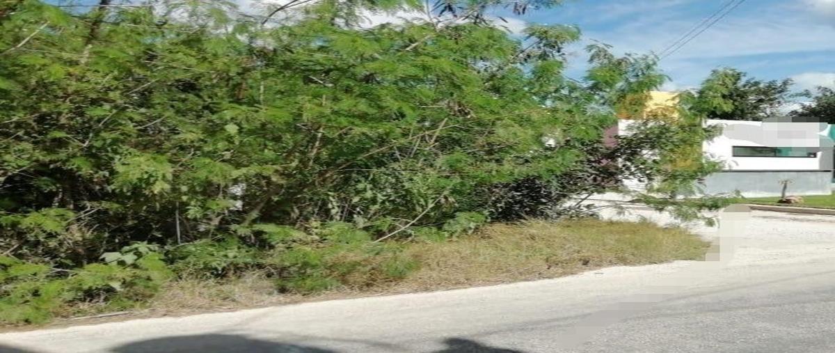 Foto de terreno habitacional en venta en  , san diego cutz, conkal, yucatán, 0 No. 03