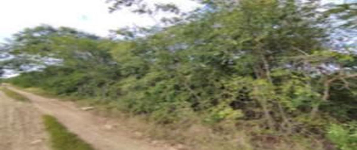 Foto de terreno habitacional en venta en  , san diego cutz, conkal, yucatán, 30478813 No. 03