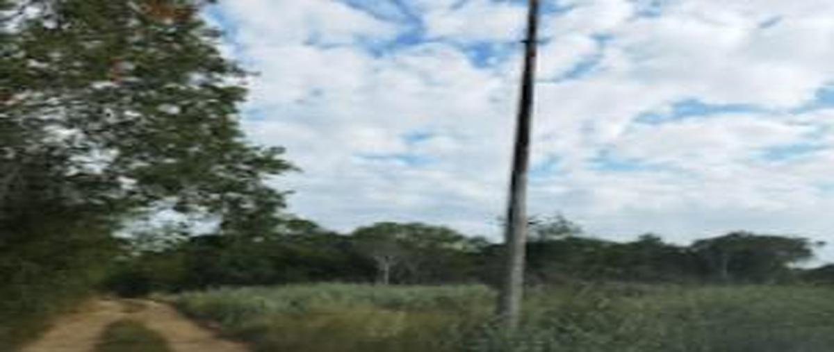 Foto de terreno habitacional en venta en  , san diego cutz, conkal, yucatán, 30478813 No. 04