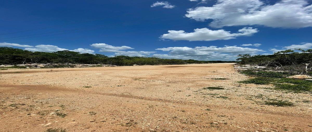 Foto de terreno habitacional en venta en  , san diego cutz, conkal, yucatán, 0 No. 03