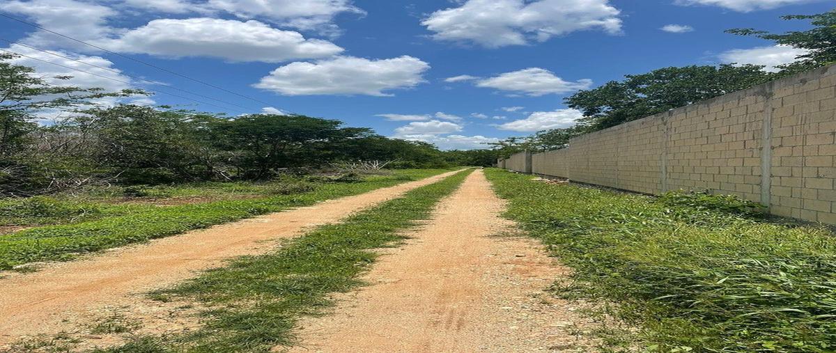 Foto de terreno habitacional en venta en  , san diego cutz, conkal, yucatán, 0 No. 04
