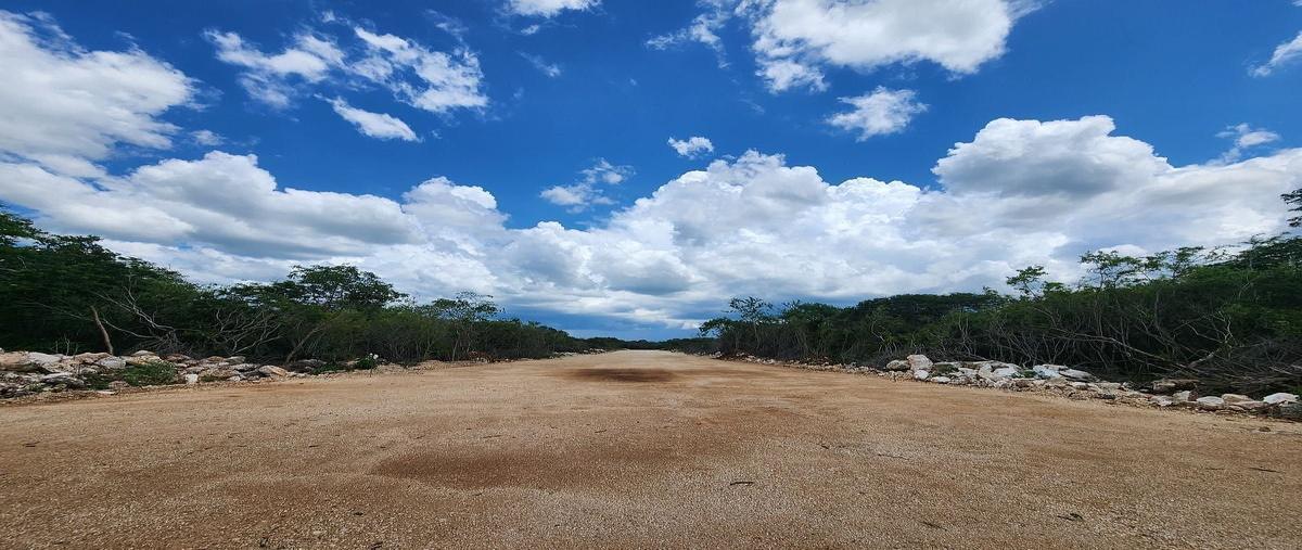 Foto de terreno habitacional en venta en  , san diego cutz, conkal, yucatán, 0 No. 05