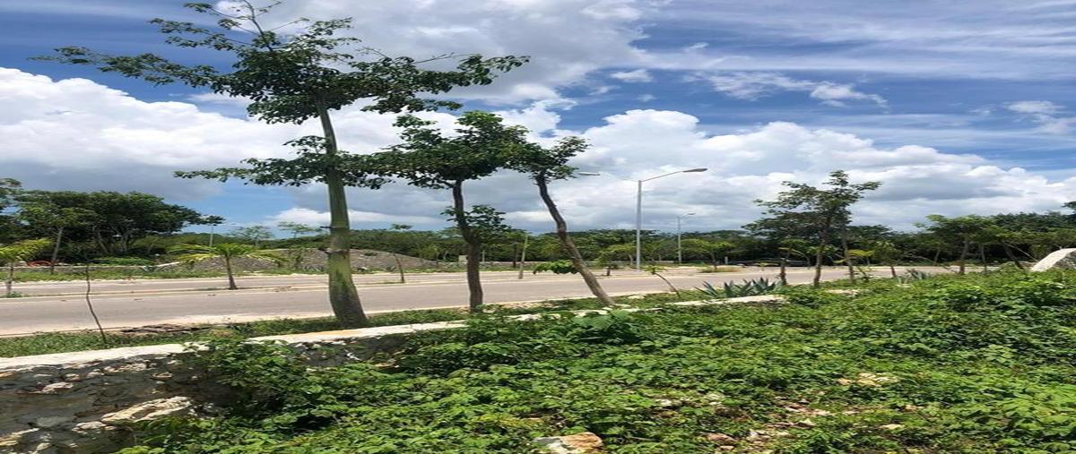 Foto de terreno habitacional en venta en  , san diego cutz, conkal, yucatán, 0 No. 03