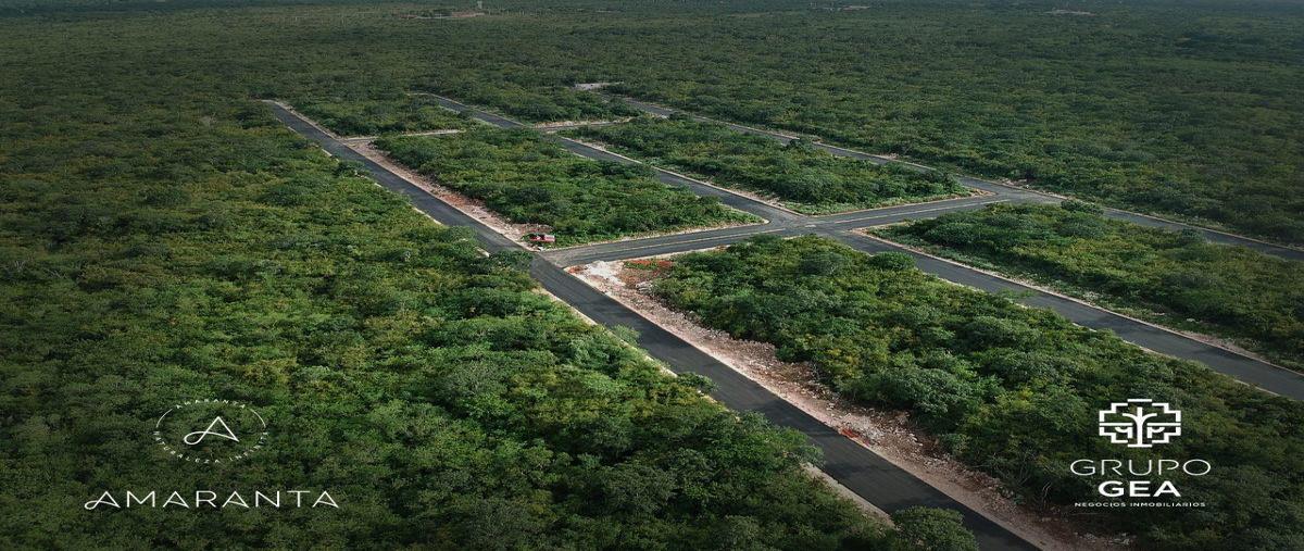 Foto de terreno habitacional en venta en  , san diego cutz, conkal, yucatán, 0 No. 05