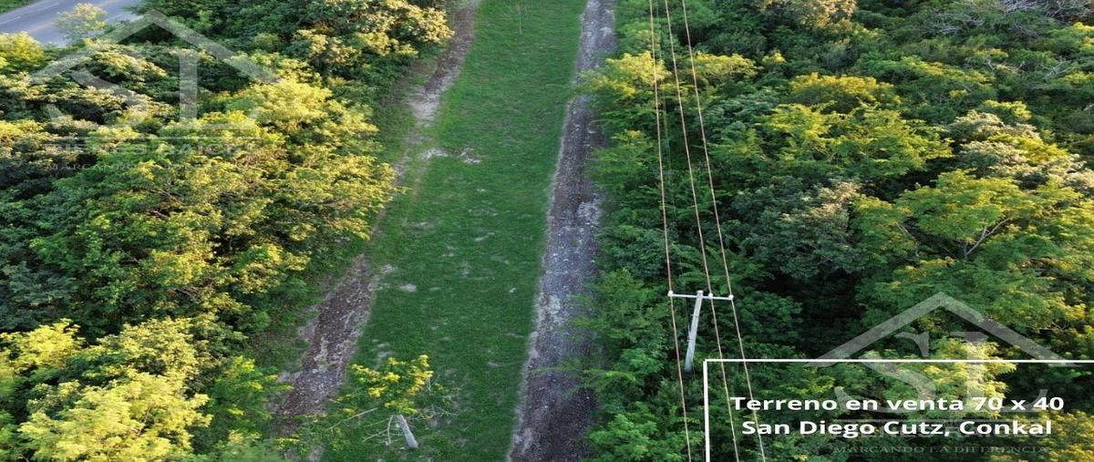 Foto de terreno habitacional en venta en  , san diego cutz, conkal, yucatán, 0 No. 05