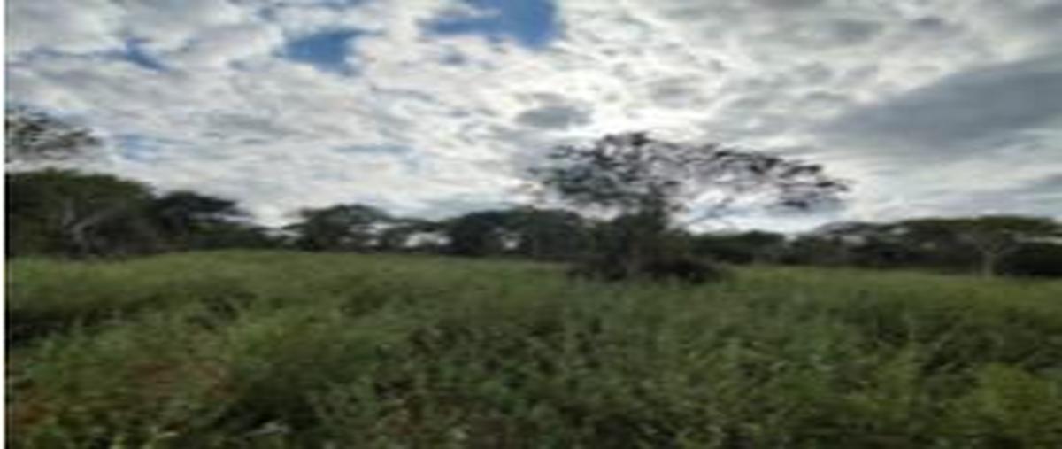 Foto de terreno habitacional en venta en  , san diego cutz, conkal, yucatán, 31426371 No. 05