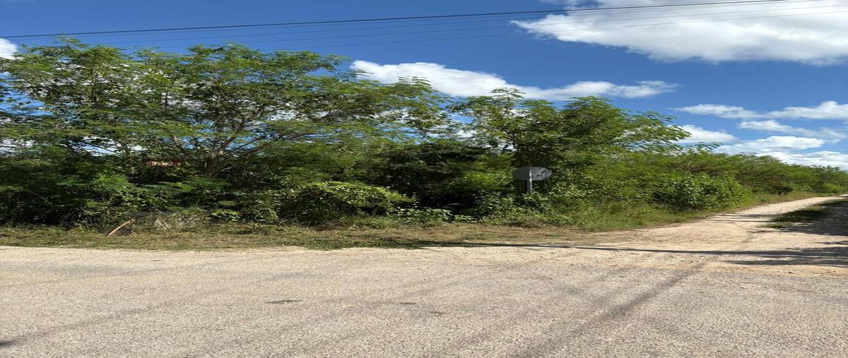 Foto de terreno habitacional en venta en  , san diego cutz, conkal, yucatán, 0 No. 04
