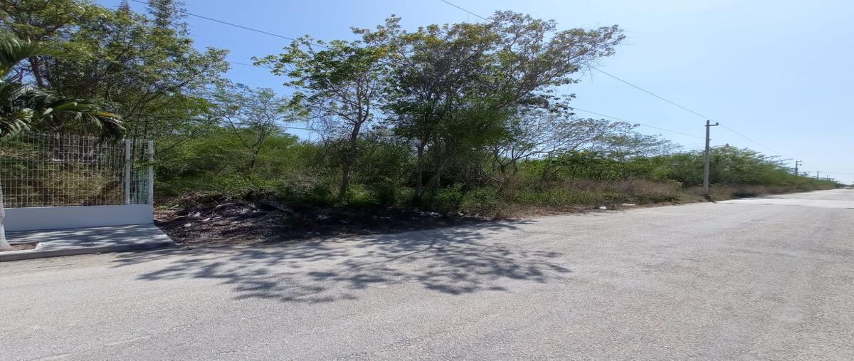 Foto de terreno habitacional en san diego cutz dos , san diego cutz, conkal, yucatán, 26521513 foto 02 Foto de terreno habitacional en venta en san diego cutz dos , san diego cutz, conkal, yucatán, 26521513 No. 02