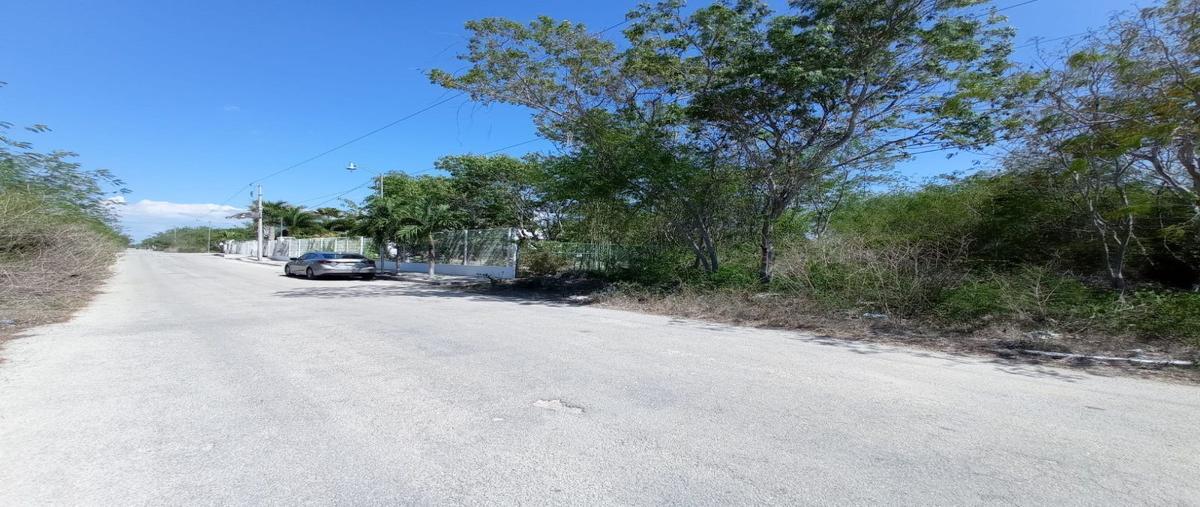 Foto de terreno habitacional en san diego cutz dos , san diego cutz, conkal, yucatán, 26521513 foto 03 Foto de terreno habitacional en venta en san diego cutz dos , san diego cutz, conkal, yucatán, 26521513 No. 03