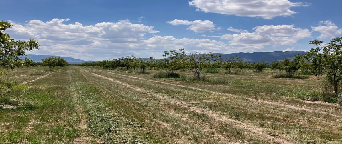 Foto de terreno habitacional en venta en  , san diego de alcalá, aldama, chihuahua, 30481834 No. 05