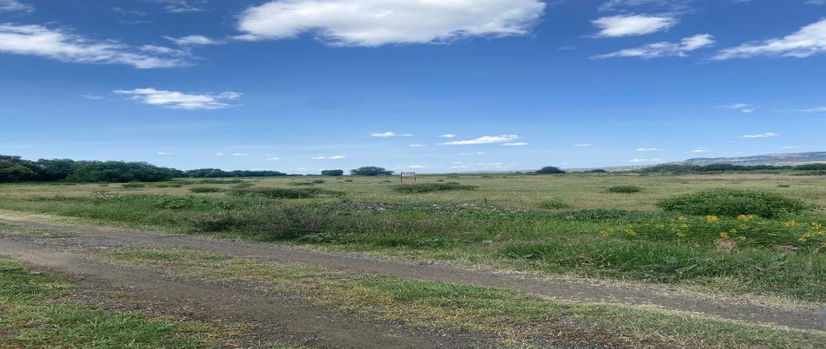 Foto de terreno habitacional en , san diego de las trasquilas, san josé iturbide, guanajuato, 26951462 foto 02 Foto de terreno habitacional en venta en , san diego de las trasquilas, san josé iturbide, guanajuato, 26951462 No. 02