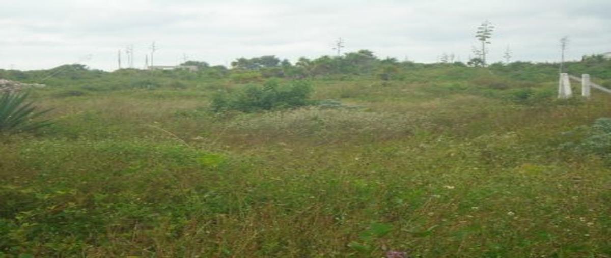 Foto de terreno habitacional en venta en  , san diego, dzemul, yucatán, 18464247 No. 05