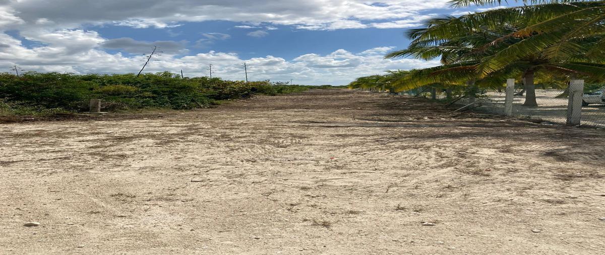 Foto de terreno habitacional en venta en . , san diego, dzemul, yucatán, 21531709 No. 03