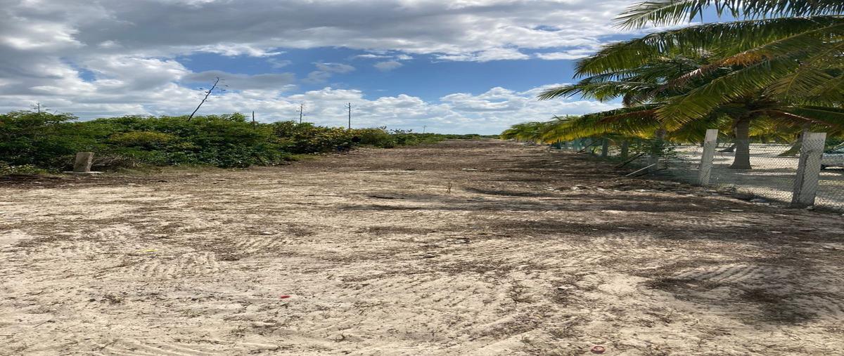 Foto de terreno habitacional en venta en . , san diego, dzemul, yucatán, 21531709 No. 04