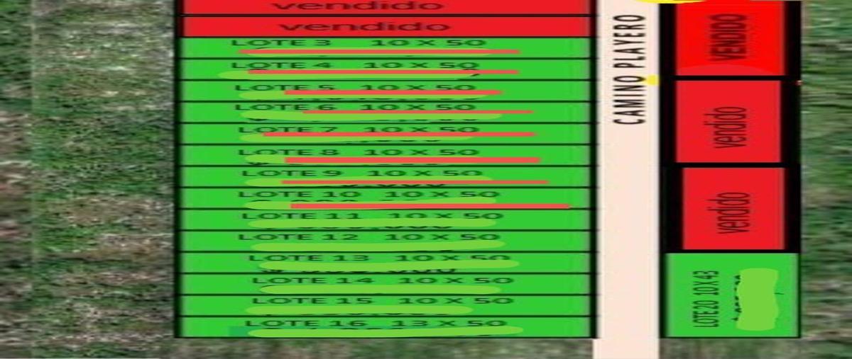 Foto de terreno habitacional en venta en . , san diego, dzemul, yucatán, 21531709 No. 05