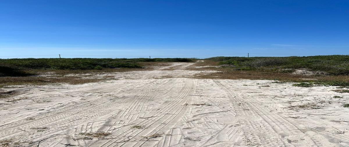 Foto de terreno habitacional en venta en  , san diego, dzemul, yucatán, 26160069 No. 03